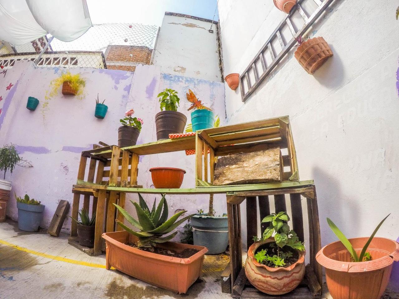Casa Papa Chango San Cristóbal de Las Casas Kültér fotó